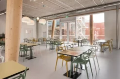 Kartell FL/Y Hanglamp Ø52 Saliegroen -Flos Winkel x886x886 1090.jpg.pagespeed.ic .lEcrEbUKsv 1