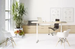 Vitra EA 119 Bureaustoel Hopsak Zwart, Onderstel Gepolijst -Flos Winkel x886x886 EN REN P 20130916 007 G.jpg.pagespeed.ic .9RRiZSwOWA