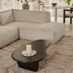 Aime Té Form Salontafel 145x80 Nero Marquina -Flos Winkel x886x886 aime t form salontafel 120x666.jpg.pagespeed.ic .RoErrT2CcM