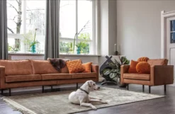 BePureHome Tweedekansje - Rodeo Fauteuil Cognac -Flos Winkel x886x886 bepurehome rodeo fauteuil4.jpg.pagespeed.ic .BGpCQlcc2N