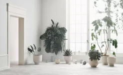 Bolia Gap Bloempot Ø38 Zand -Flos Winkel x886x886 bolia gap bloempot 134.jpg.pagespeed.ic .LfoI5T5L2k