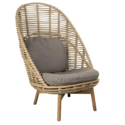 Cane-Line Hive Lounge Fauteuil Hoge Rugleuning -Flos Winkel x886x886 cane line hive lounge fauteuil hoge rugleuning1.jpg.pagespeed.ic .oZpq9N3Iaw