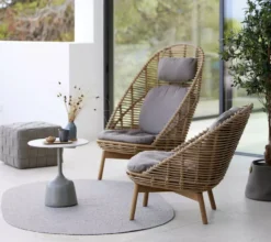 Cane-Line Hive Lounge Fauteuil Hoge Rugleuning -Flos Winkel x886x886 cane line hive lounge fauteuil hoge rugleuning2.jpg.pagespeed.ic .8l1Vt 7ndD