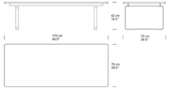 Carl Hansen & Son CH108 Salontafel 170x70 -Flos Winkel x886x886 carl hansen ch108 salontafel 170x70.jpg.pagespeed.ic .YVeilRubSf