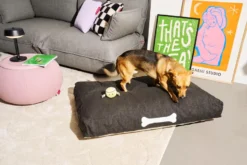 Fatboy Doggielounge Olefin Hondenkussen Large Mist -Flos Winkel x886x886 fatboy doggielounge olefin hondenkussen large.jpg.pagespeed.ic .AVbvyRuJKk 1