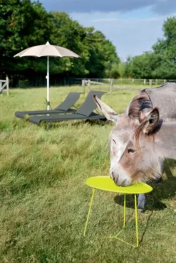 Fermob Cocotte Bijzettafel Large Ice Mint -Flos Winkel x886x886 fermob cocotte bijzettafel large31.jpg.pagespeed.ic .5nD0ZU7UvE