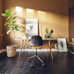 Houe Falk Bureaustoel Gestoffeerd Beige 12 Houe Falk Bureaustoel Gestoffeerd Beige -Flos Winkel x886x886 houe falk bureaustoel zwart1.jpg.pagespeed.ic .bDYdQlp3GI