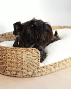 Kave Home Codie Hondenkussen 50x80 -Flos Winkel x886x886 kave home fliicker hondenmand 35x60.jpg.pagespeed.ic .987t0B1yU3