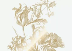 KEK Amsterdam Engraved Flowers 4 Gold Metallic Behang 8 Banen -Flos Winkel x886x886 kek amsterdam engraved flowers 4 gold metallic behang2.jpg.pagespeed.ic .4F4fTYiG5q