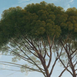 KEK Amsterdam Golden Age Landscapes Behangcirkel 142 III -Flos Winkel x886x886 kek amsterdam golden age landscape behangcirkel 142 iii2.jpg.pagespeed.ic .sTl4zzKS1M