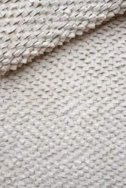 Linie Design Crush Vloerkleed 140x200 White -Flos Winkel x886x886 linie design crush vloerkleed 140x2006.jpg.pagespeed.ic .GWLsYvcN y