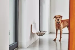 MiaCara Arco Hondenvoerbak Wand Small/medium Wit -Flos Winkel x886x886 miacara arco hondenvoerbak wand3.jpg.pagespeed.ic .ybd NyJ9nh 1