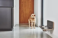 MiaCara Arco Hondenvoerbak Wand Small/medium Wit -Flos Winkel x886x886 miacara arco hondenvoerbak wand4.jpg.pagespeed.ic .9DwEL37U2 1