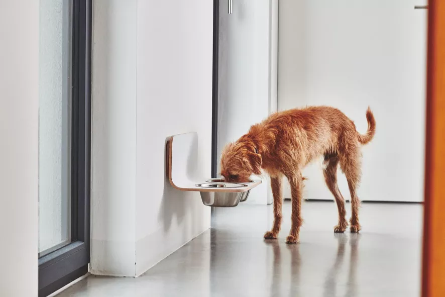 MiaCara Arco Hondenvoerbak Wand Medium/large Grijs 6 MiaCara Arco Hondenvoerbak Wand Medium/large Grijs - Afbeelding 6