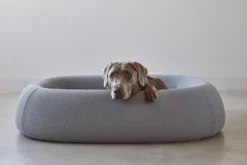 MiaCara Barca Hondenmand Medium/large Slate -Flos Winkel x886x886 miacara barca hondenmand medium large6.jpg.pagespeed.ic .4p zq FMM2