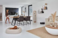 MiaCara Barca Hondenmand Medium/large Slate -Flos Winkel x886x886 miacara barca hondenmand medium large9.jpg.pagespeed.ic .M58YswOEa4