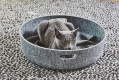 MiaCara Cesto Kattenmand 46 Beton 16 MiaCara Cesto Kattenmand 46 Beton -Flos Winkel x886x886 miacara cesto kattenmand15.jpg.pagespeed.ic .2YLLKWq2bX 1