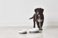 MiaCara Coppa Hondenvoerbak Small/medium Ø17.5 Slate -Flos Winkel x886x886 miacara coppa hondenvoerbak medium large.jpg.pagespeed.ic .ga3wGkeSBU 1