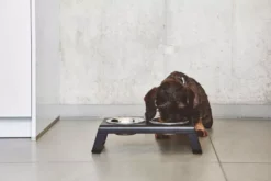 MiaCara Desco Hondenvoerbak Large Aluminium Wit -Flos Winkel x886x886 miacara desco hondenvoerbak medium22.jpg.pagespeed.ic .fb36z3ar8a 6