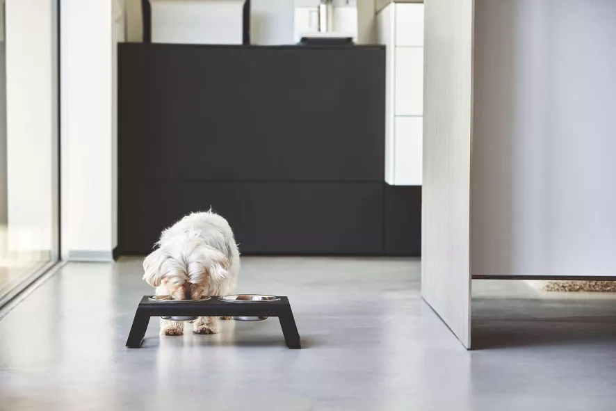 MiaCara Desco Hondenvoerbak Small Essen Grijs 7 MiaCara Desco Hondenvoerbak Small Essen Grijs - Afbeelding 7