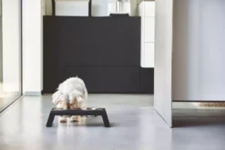 MiaCara Desco Hondenvoerbak Large Aluminium Wit -Flos Winkel x886x886 miacara desco hondenvoerbak medium23.jpg.pagespeed.ic .l3VZwi4VJ2 6