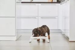 MiaCara Desco Hondenvoerbak Small Aluminium Grijs -Flos Winkel x886x886 miacara desco hondenvoerbak medium24.jpg.pagespeed.ic .aUY84Z4sB 1