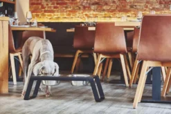 MiaCara Desco Hondenvoerbak Medium Essen Zwart -Flos Winkel x886x886 miacara desco hondenvoerbak medium25.jpg.pagespeed.ic .j3pooza1mJ