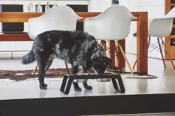 MiaCara Desco Hondenvoerbak Medium Walnoot -Flos Winkel x886x886 miacara desco hondenvoerbak medium26.jpg.pagespeed.ic .IFqqhlCQZt 2