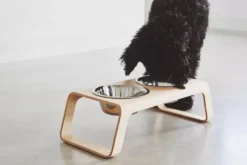 MiaCara Desco Hondenvoerbak Medium Walnoot -Flos Winkel x886x886 miacara desco hondenvoerbak medium28.jpg.pagespeed.ic . R9ZwlTrx 2