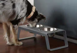 MiaCara Desco Hondenvoerbak Medium Walnoot -Flos Winkel x886x886 miacara desco hondenvoerbak medium30.jpg.pagespeed.ic .hO8vdqdI84 3