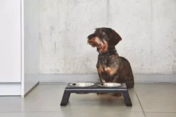 MiaCara Desco Hondenvoerbak Small Aluminium Grijs -Flos Winkel x886x886 miacara desco hondenvoerbak medium34.jpg.pagespeed.ic .1Ds QXa7yc 1