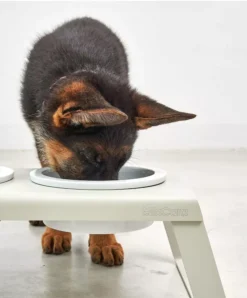 MiaCara Desco Hondenvoerbak Porselein Medium Zwart -Flos Winkel x886x886 miacara desco hondenvoerbak porselein small10.jpg.pagespeed.ic .AMcJWS1AjF 2