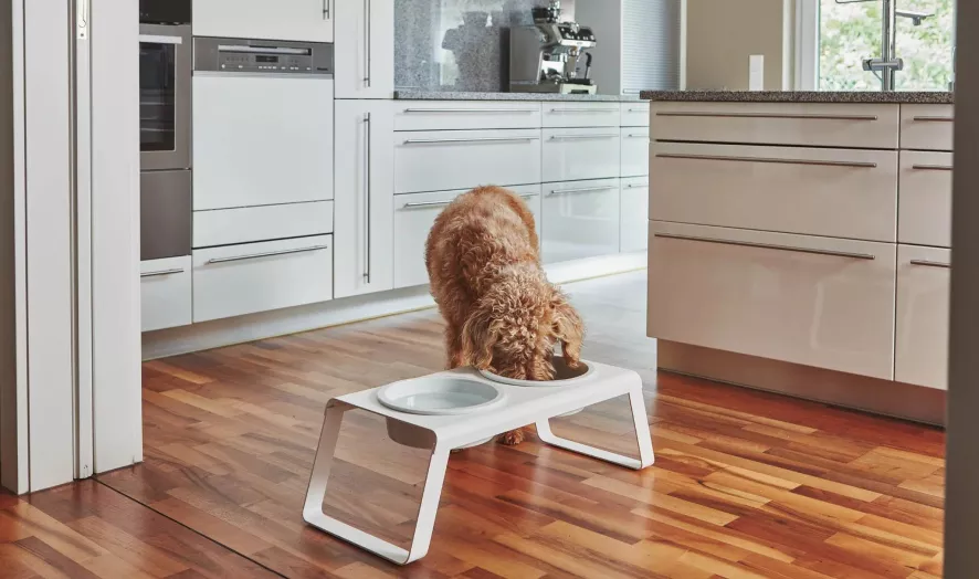 MiaCara Desco Hondenvoerbak Porselein Medium Grijs 5 MiaCara Desco Hondenvoerbak Porselein Medium Grijs - Afbeelding 5