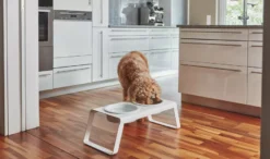 MiaCara Desco Hondenvoerbak Porselein Medium Walnoot -Flos Winkel x886x886 miacara desco hondenvoerbak porselein small11.jpg.pagespeed.ic .hjPOMS Fdl 4