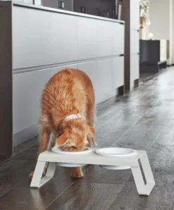 MiaCara Desco Hondenvoerbak Porselein Small Essen Zwart -Flos Winkel x886x886 miacara desco hondenvoerbak porselein small13.jpg.pagespeed.ic .oUbyeaamyF 1