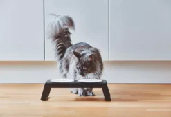 MiaCara Desco Kattenvoerbak Porselein Essen Grijs -Flos Winkel x886x886 miacara desco kattenvoerbak porselein9.jpg.pagespeed.ic .HZkilIVJP9