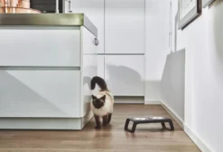 MiaCara Desco Kattenvoerbak Walnoot -Flos Winkel x886x886 miacara desco kattenvoerbak22.jpg.pagespeed.ic .nCX60xu3I