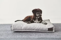 MiaCara Divo Hondenkussen Small Slate -Flos Winkel x886x886 miacara divo hondenkussen small.jpg.pagespeed.ic .VE 6keVMre 1