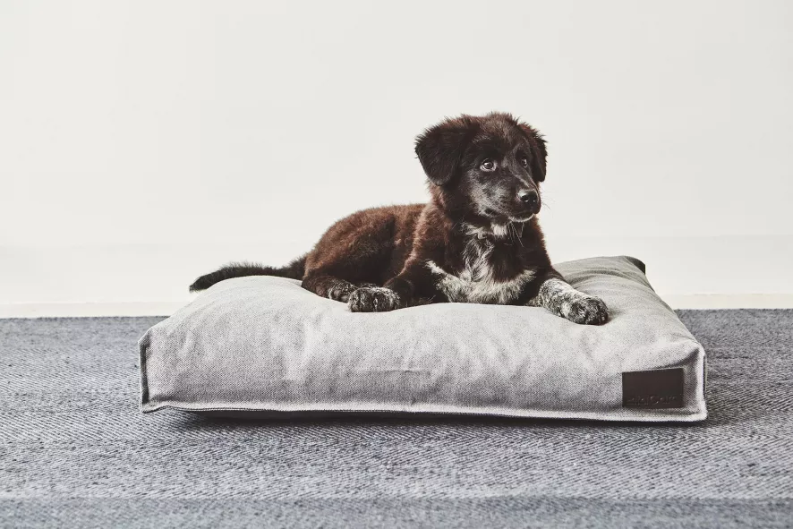 MiaCara Divo Hondenkussen Medium Mocca 3 MiaCara Divo Hondenkussen Medium Mocca - Afbeelding 3