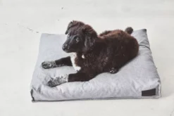 MiaCara Divo Hondenkussen Medium Mocca 12 MiaCara Divo Hondenkussen Medium Mocca -Flos Winkel x886x886 miacara divo hondenkussen small1.jpg.pagespeed.ic .YQ89j5Z2A8 3