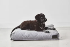 MiaCara Divo Hondenkussen Medium Mocca 13 MiaCara Divo Hondenkussen Medium Mocca -Flos Winkel x886x886 miacara divo hondenkussen small2.jpg.pagespeed.ic .S5alnara7G 3