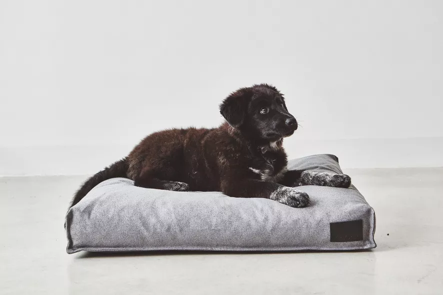 MiaCara Divo Hondenkussen Medium Mocca 5 MiaCara Divo Hondenkussen Medium Mocca - Afbeelding 5