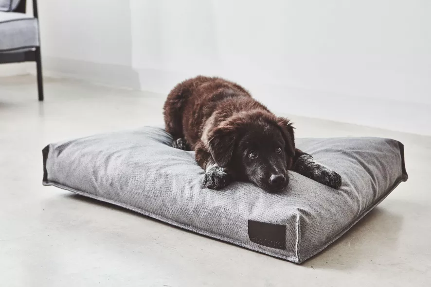 MiaCara Divo Hondenkussen Medium Mocca 6 MiaCara Divo Hondenkussen Medium Mocca - Afbeelding 6