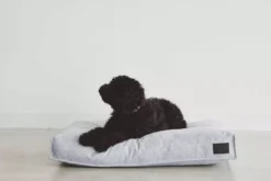 MiaCara Divo Hondenkussen Medium Mocca 17 MiaCara Divo Hondenkussen Medium Mocca -Flos Winkel x886x886 miacara divo hondenkussen small5.jpg.pagespeed.ic .sUtZW6R9mS