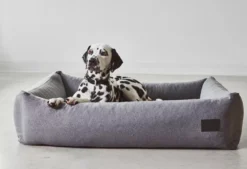 MiaCara Divo Hondenmand Small Slate -Flos Winkel x886x886 miacara divo hondenmand small29.jpg.pagespeed.ic .bcWxaZZ3Ut 1