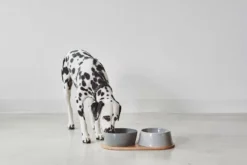 MiaCara Doppio Hondenvoerbak Medium Berry -Flos Winkel x886x886 miacara doppio hondenvoerbak met blad small4.jpg.pagespeed.ic .k5EHvUDsAI