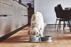 MiaCara Doppio Hondenvoerbak Medium Berry -Flos Winkel x886x886 miacara doppio hondenvoerbak met blad small5.jpg.pagespeed.ic .HcMPezkce3