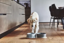 MiaCara Doppio Hondenvoerbak Medium Berry -Flos Winkel x886x886 miacara doppio hondenvoerbak met blad small6.jpg.pagespeed.ic .VrybShbAqK