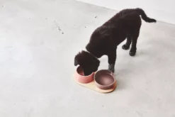 MiaCara Doppio Hondenvoerbak Medium Berry -Flos Winkel x886x886 miacara doppio hondenvoerbak met blad small7.jpg.pagespeed.ic .PAdqRx0uvZ