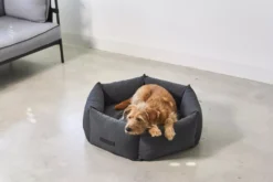 MiaCara Felice Hondenmand Ø60 Small Anthracite -Flos Winkel x886x886 miacara felice hondenmand large10.jpg.pagespeed.ic .lJIDxlchu0